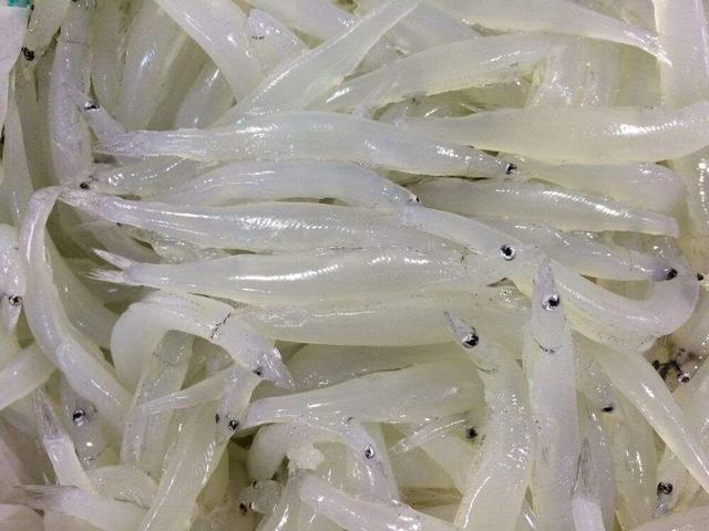 宝宝吃鱼好处多多,但并不是什么鱼都适合哦