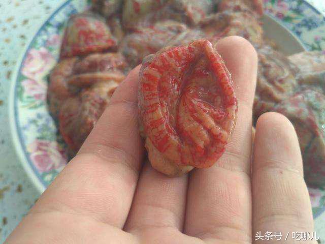 海葵又称作海腚干,土话是屁股的意思,这东西长相真是不敢恭维!