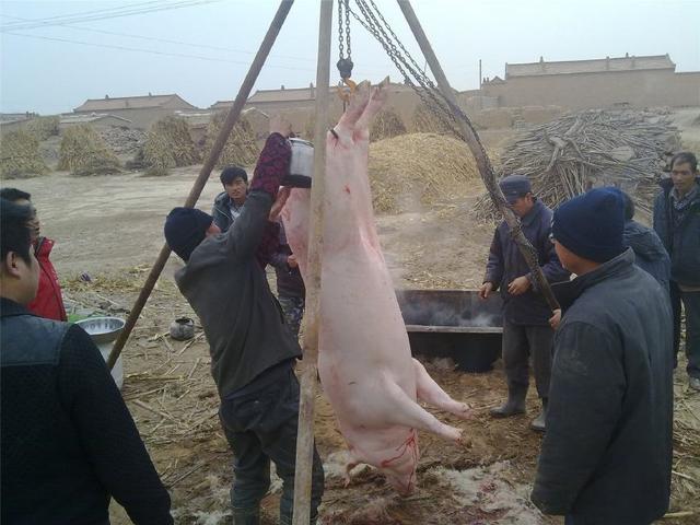 猪肉|猪|妇人_新浪新闻