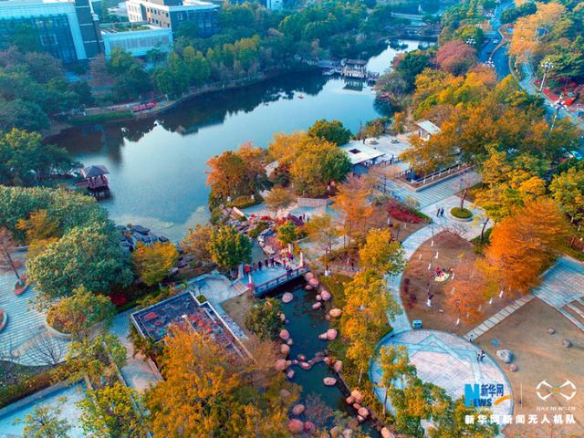 无人机航拍广州黄浦公园 看羊城最美时