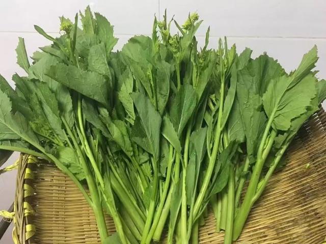 冲菜一道美味的川西农家下饭菜