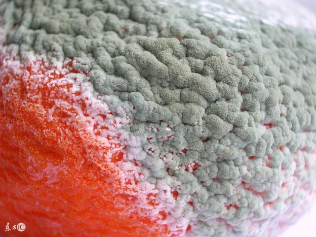 它被列为一级致癌物,就藏在我们的日常饮食里,高温开水也杀不死