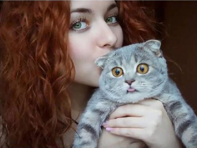 猫咪因软骨病被判安乐死,女主人坚持治疗自学打针