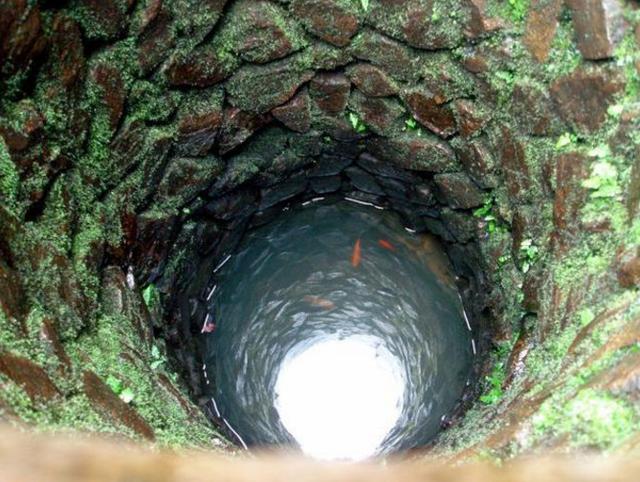 农村水井里面有这种生物,村里的农民们居然还很高兴