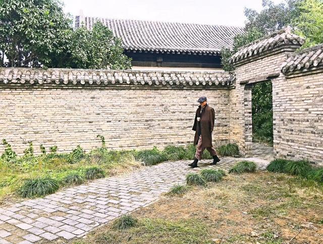 西提猜和李景亮评价一龙战力的说法完全不同,