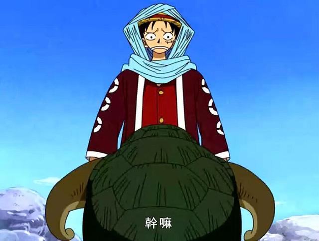 海贼王:武道至上的两种动物,一种是路飞徒弟,一种是索隆磨刀石