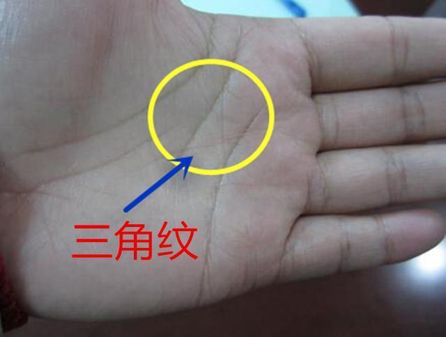 不论男女,手上有"此类"纹路之人,必定财运享通,富贵一生