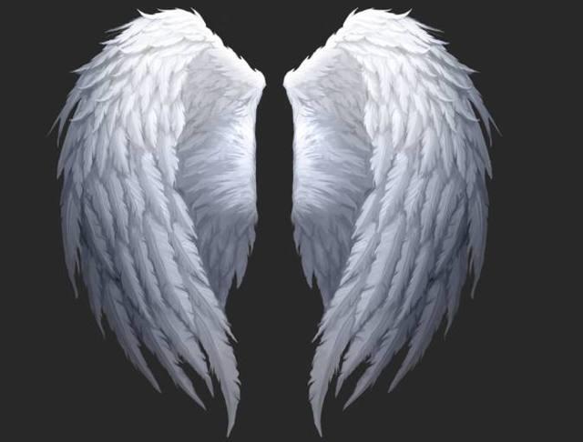 心理测试:4双翅膀,凭直觉选一双,测你2018会不会发财