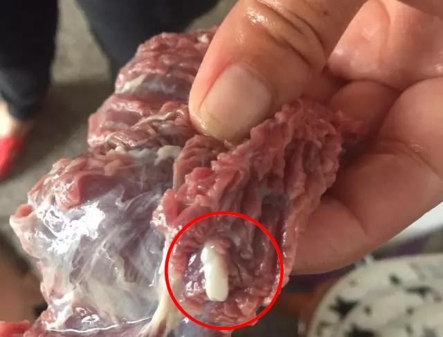 梅州人买牛肉,切开却发现长满虫子