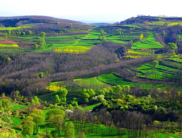 永寿县|飞地|漆县_新浪新闻