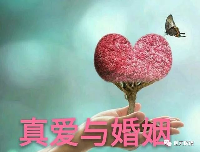 婚姻家庭|真爱|爱情_新浪新闻