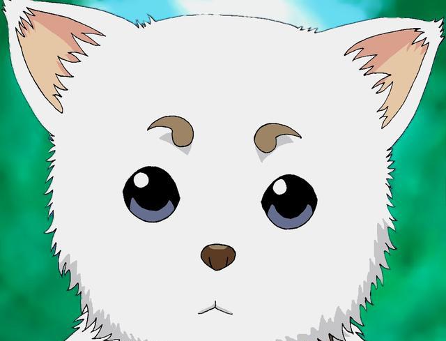 过七夕二次元的单身狗你惹不起二次元萌狗大暴走