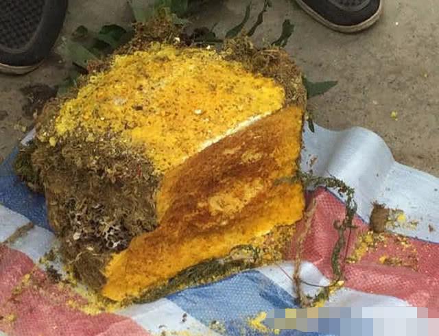 老奶奶街头遇到卖"岩蜜"的, 几十元买了一斤, 后来才知是假的