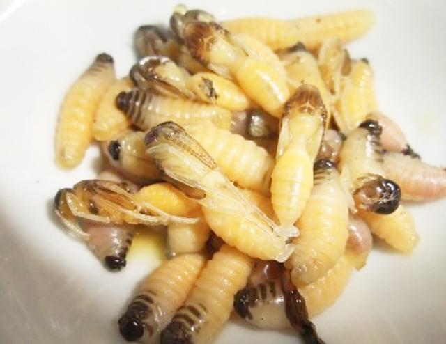 农村小时候吃的野味, 最后一种现在去五星级酒店才有得吃!