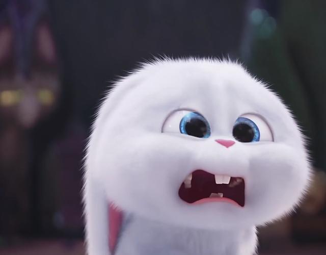 再来几张萌照~在最后的情节中,他下水救杰克罗素梗犬麦克,救他之前,他