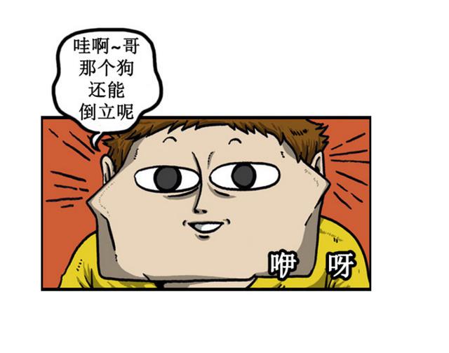 爆笑漫画:韩国最聪明的狗狗,聪明到的不可思议!哈哈哈