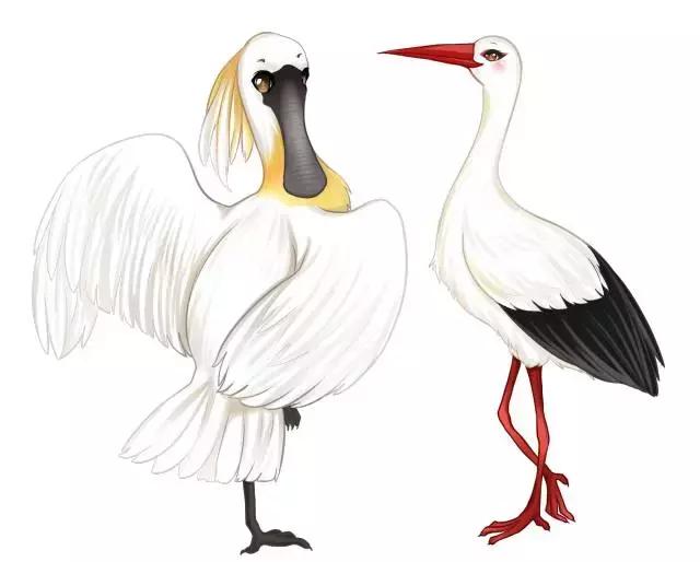 徒步穿越南沙湿地从未对开放区域 观10万候鸟,吃海鲜,品水果!