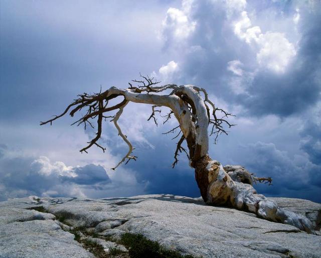 被大自然和人为毁坏的自然景观,太可惜了!