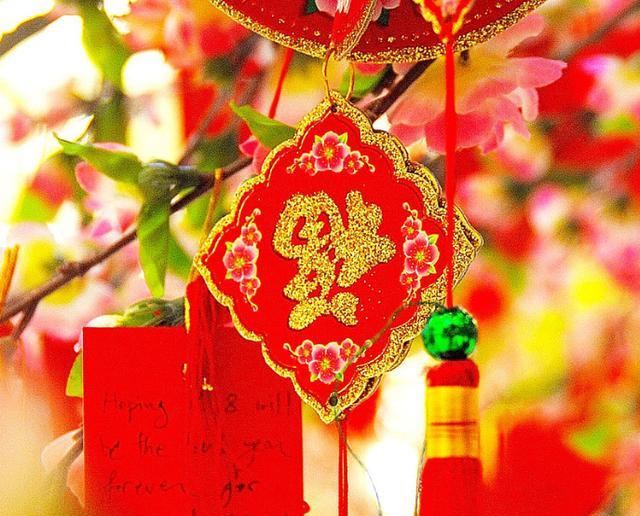 碰见这三种动物,就预示着吉祥和福气到来了