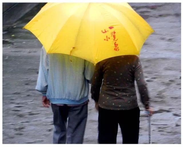 冷风中镜头下定格温情瞬间