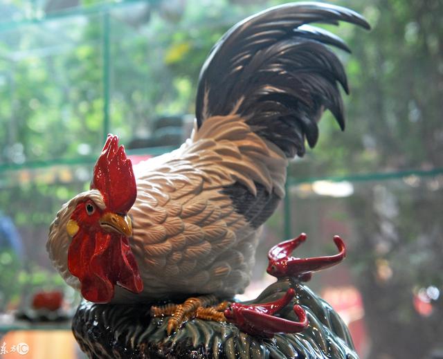 这几点出生的生肖鸡,虎,羊人,福气深厚,中年衣食丰盛