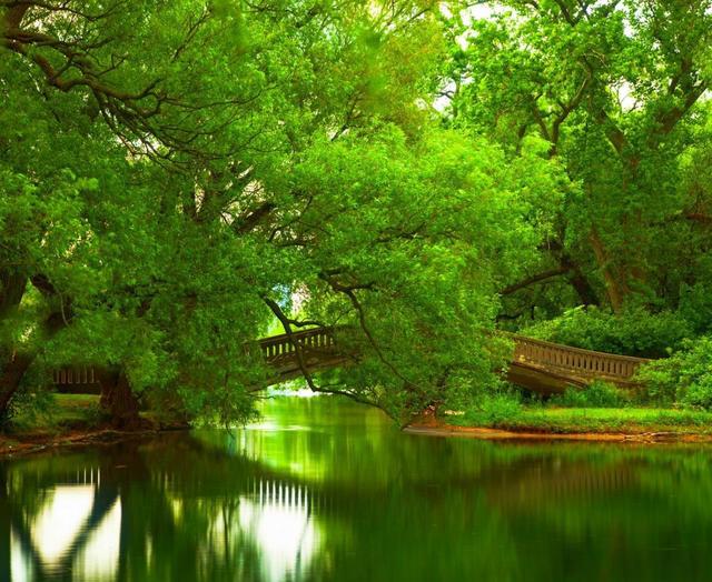 经典绿色护眼系列精美的风景壁纸美图第27弹