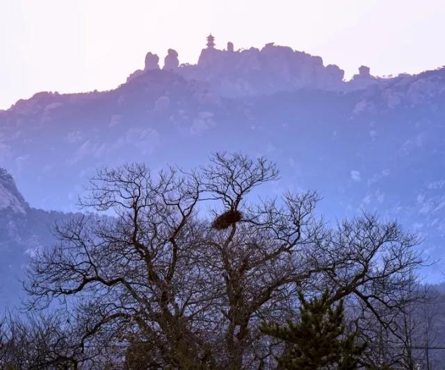 情侣峰上,我为你读诗.