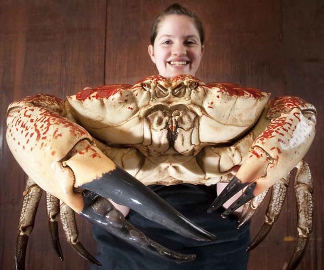 7个看起来超级恐怖的变异生物,看到最后一个不自觉的流起口水!