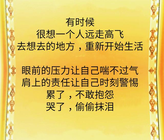 累吗?累!苦吗?苦!难吗?难!想哭吗?想!