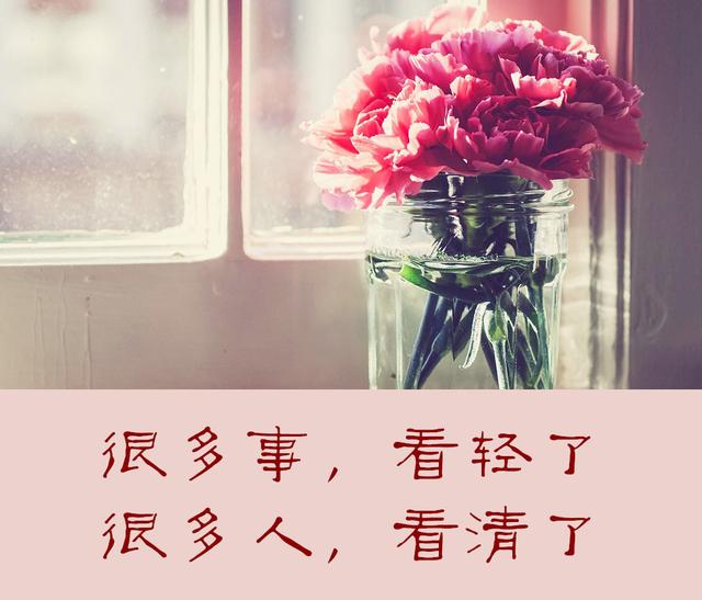 沉淀出不惊不扰的情怀,很多事,看轻了,很多人,看清了,很多理,看透了