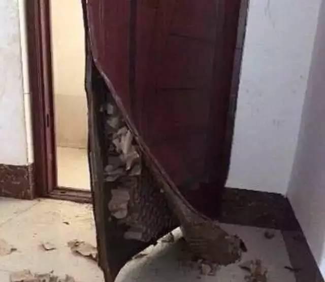 最近流行直接拆门,狗狗撕家已经过时了