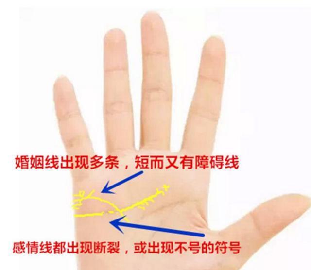并且往下延伸到智慧线为止;婚姻线往下横切过感情线;婚姻线的末端分成