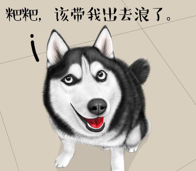 拯救世界的二哈系列之粑粑快带我出去浪不然