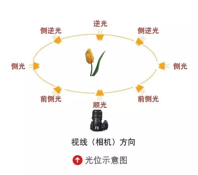 如何利用不同光位拍出好照片|侧光|画面|光线_新浪新闻