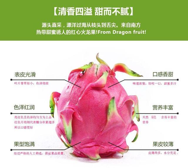 火龙果功效(红心火龙果作用)