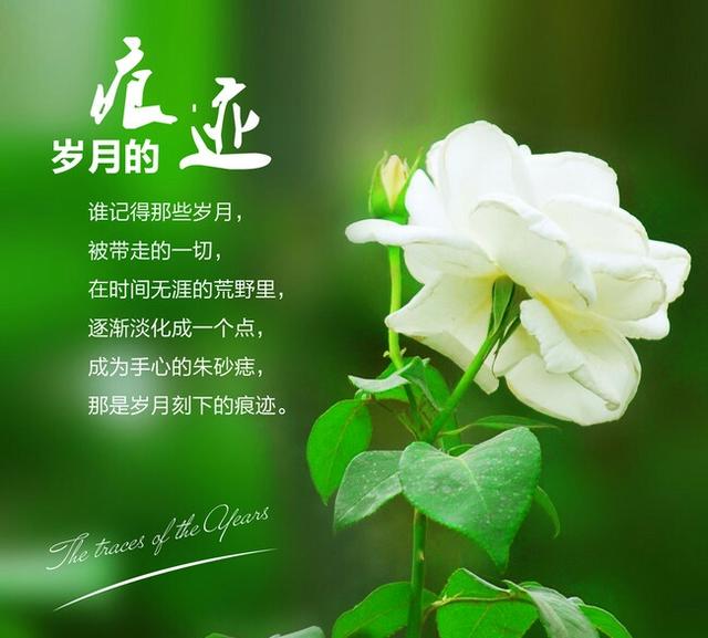 又是一年,人已到中年