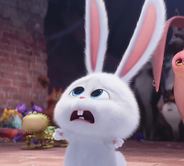 卖萌的优势~再来几张萌照~在最后的情节中,他下水救杰克罗素梗犬麦克