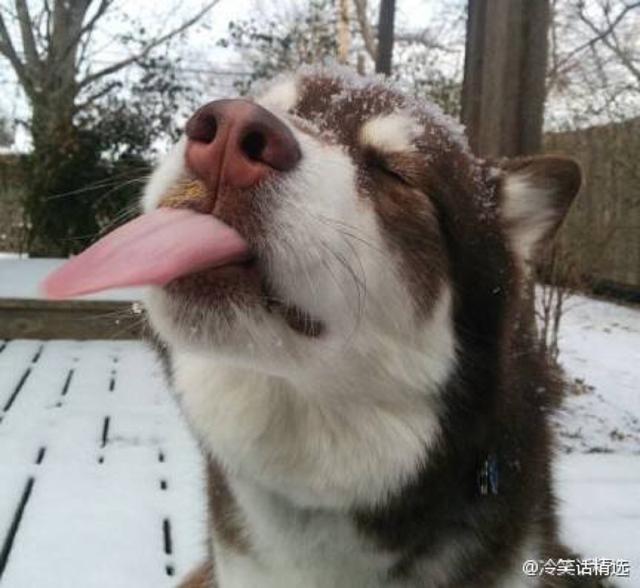 笑不停的经典搞笑图片珍藏版