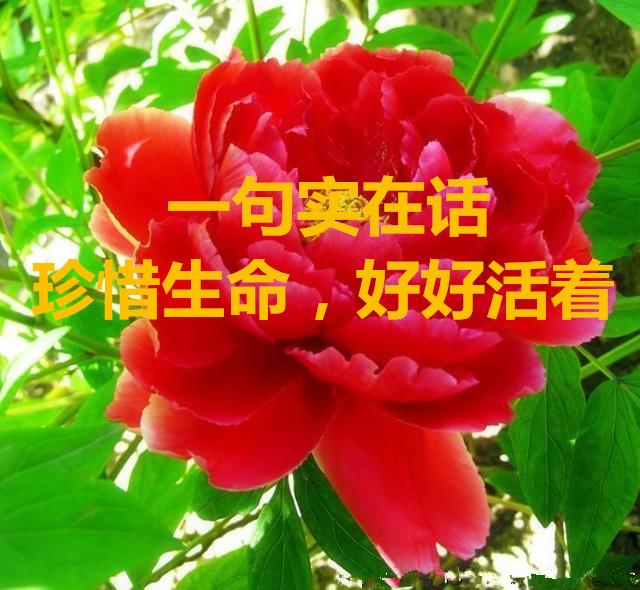 简简单单是福,事该想开就想开,珍惜现在,活在当下,一切都好好的!