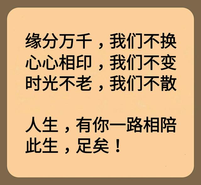 朋友|生命|真诚_新浪新闻