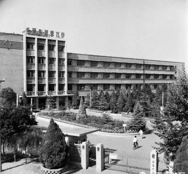 洛阳宫啤酒或将消失,陪你一起长大的洛阳本土