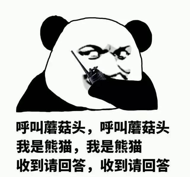 斗图搞笑脸色包来不及说明了快上车