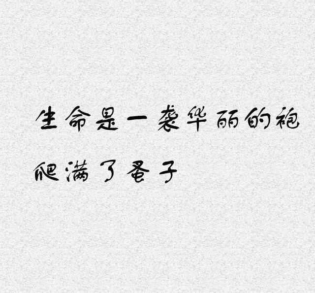 民国文艺风之张爱玲经典语录,每一句都让人深思