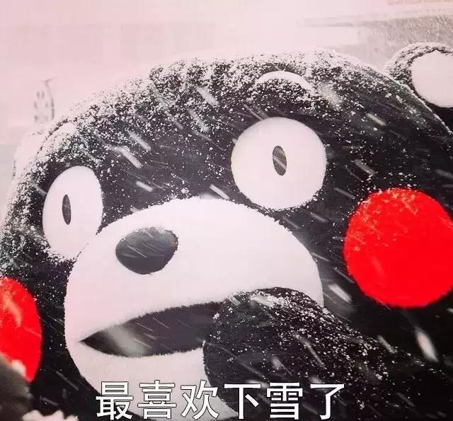 下雪啦,下雪啦,榆林今天的雪景美出了天际(附路况信息)