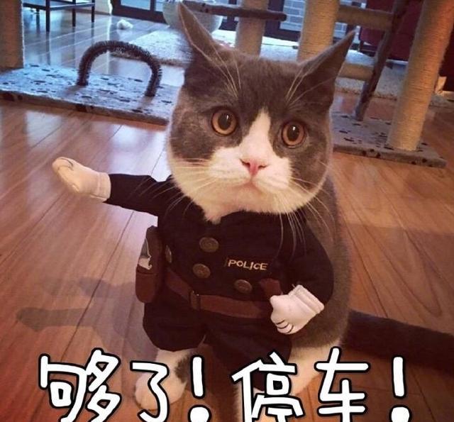 uu头条|7月4日的东莞大事话你知!大雨湿身要注意!