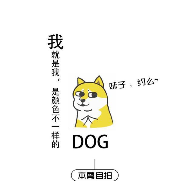 如果我是一只土豪金单身狗,你会约我吗?