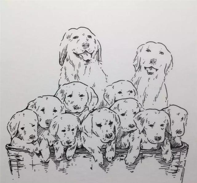 画一窝狗狗旺起来