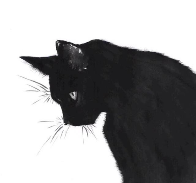 情人节换个头像低调秀恩爱吧