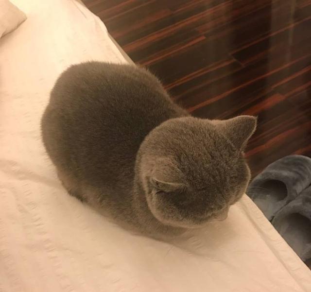 由浅入深,深扒电竞天仙ako的交际圈