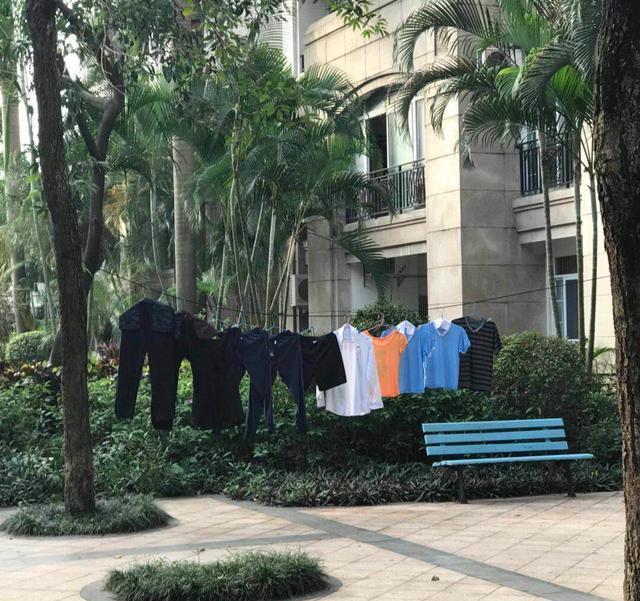 一场晾晒衣物引发的争论,小区公共区域该不该晾晒衣物